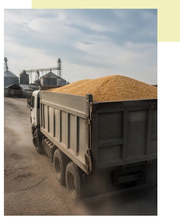 Перевозка сельхозпродукции навалом в Клин по цене от 3074 р. | Агросервис-Кли